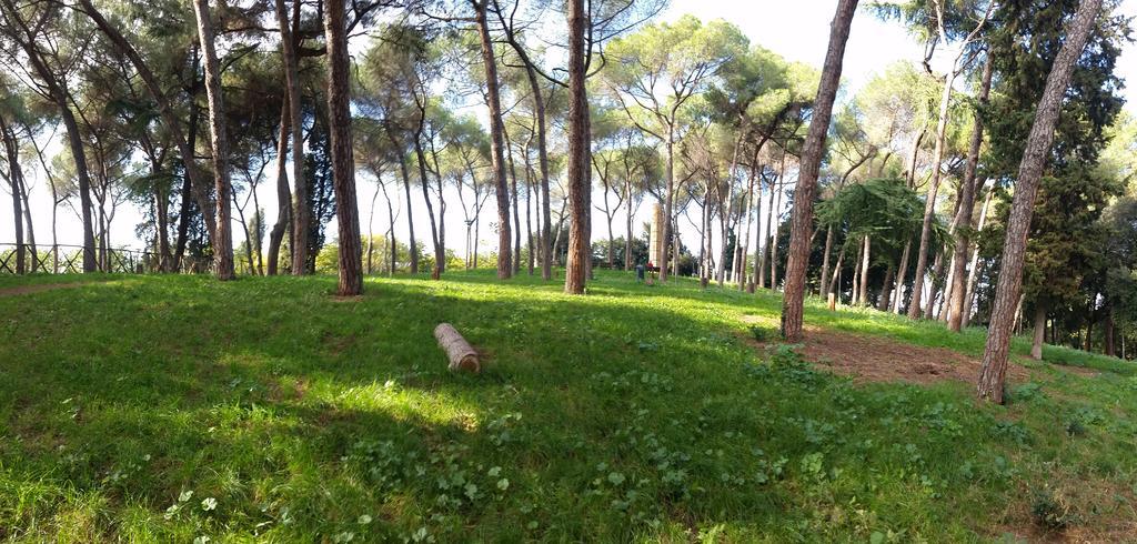Holiday Home Roma חדר תמונה